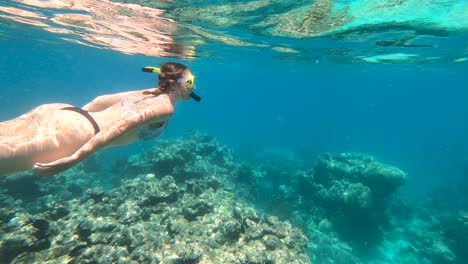 Mujer-En-Traje-De-Baño-Rosa-Haciendo-Snorkel-En-La-Gran-Barrera-De-Coral