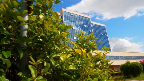 Blumen-Vor-Einem-Bürogebäude