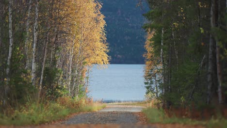 Follow-a-narrow-dirt-road-through-the-vibrant-hues-of-the-autumn-forest,-leading-to-the-tranquil-shores-of-the-lake