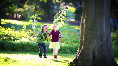 Kinder-Spielen-Mit-Einer-Blume-Im-Park