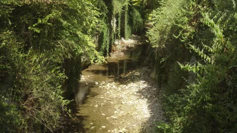 Green-alpine-forested-cliff-with-water-river-flow-with-sunshine-reflection