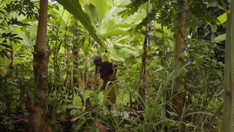 Señora-Africana-Negra-Usando-Una-Herramienta-De-Azada-Para-Trabajar-En-Una-Granja-En-Tanzania