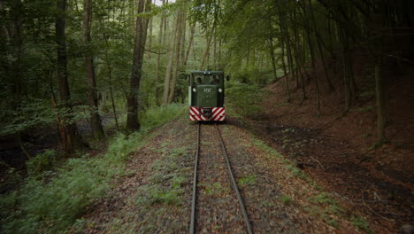 -Eine-Waldbahn-Fährt-Durch-Den-Nagybörzsöny-Wald-In-Ungarn