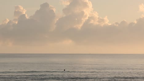 28-De-Enero-De-2023:-Surfista-Esperando-Olas-En-Burleigh-Heads-Amanecer-En-La-Costa-Dorada,-Queensland,-Australia