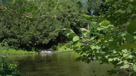 Ein-Kleiner-Wasserfall-In-Einem-Grünen-Naturpark