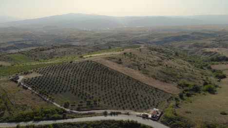 Flug-über-Leere-Landwirtschaftliche-Felder-In-Den-Bergen