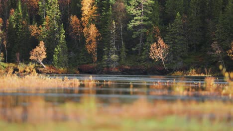 The-captivating-beauty-of-a-colorful-autumn-forest,-its-vivid-hues-reflected-with-pristine-clarity-on-the-mirror-like-surface-of-a-tranquil-lake