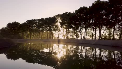 Tranquil-Sunset-With-Reflections-Of-Trees-In-Lleida-At-A-Water-Reservoir