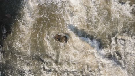 Powerful-waterfall-rushing-over-rocks-in-owen-sound,-canada,-aerial-view