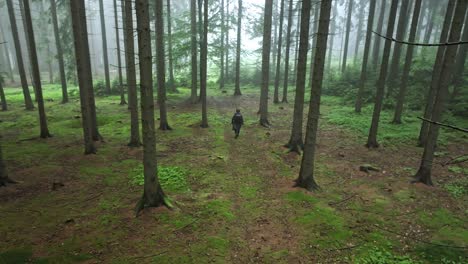 Lonely-man-walks-in-the-forest-on-a-foggy-day