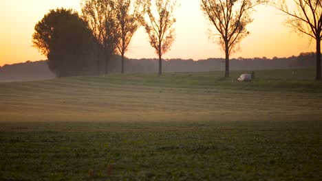 A-Beautiful-Magical-Afternoon-On-The-Countryside-By-The-Road-In-Poland---Wide-Shot