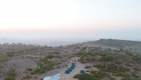 People-Camping-Amongst-Ancient-Socotra-Trees,-Dragon-Blood-Tree-Forest-In-Yemen