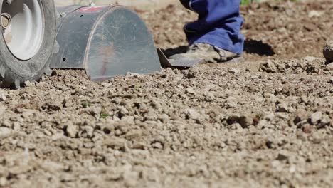 Landwirt-Fährt-Im-Frühjahr-Einen-Kleinen-Handtraktor-Zur-Bodenbearbeitung,-Um-Den-Boden-Für-Die-Gartenarbeit-Vorzubereiten