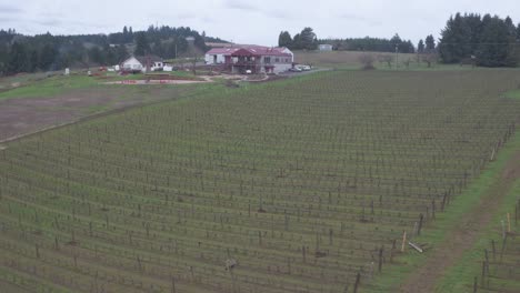 Aéreo-Sobre-El-Viñedo-Y-La-Casa-De-Oregon.-4k