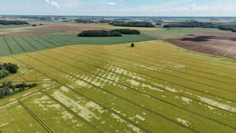 Aerial-view-of-Dagny-fields-near-Paris,-showcasing-intricate-tractor-tracks-in-vibrant-agricultural-land