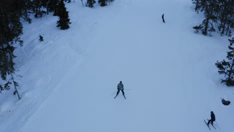 Esquiadores-En-La-Pista-Entre-Pinos-Blancos-Como-La-Nieve-Noruega-Trysil