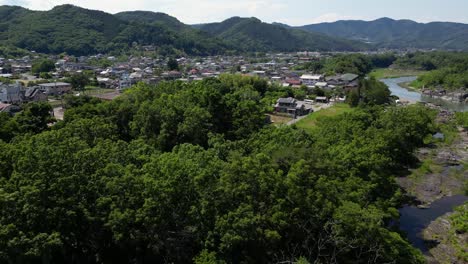 Reveal-of-rural-Japanese-village-behind-small-forested-hill