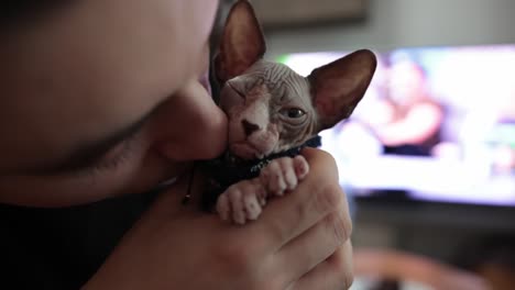 Un-Hombre-Dándole-Un-Beso-A-Un-Gato-Sphynx---Primer-Plano