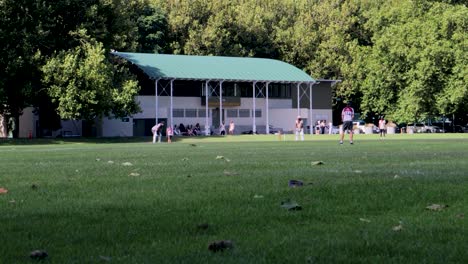 People-playing-cricket-on-sunny-day-on-Auckland's-Victoria-Park,-New-Zealand,-Green-grass,-Sports