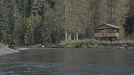 Grizzly-Bear-Walking-with-Tourists-Viewing-Nearby