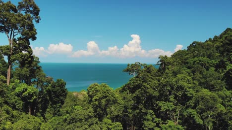 Zeitlupe-Zeigt-Einen-Blauen-Ozean-Hinter-Einem-Wald