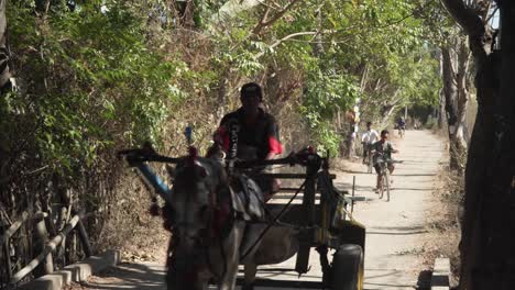 Man-driving-a-horse-carriage-through-a-small-alley-on-the-tropical-island-of-Gili-Air,-Indonesia