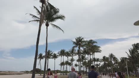 Sunny-day-on-Miami-Beach-with-people-walking-and-biking-along-the-palm-lined-promenade