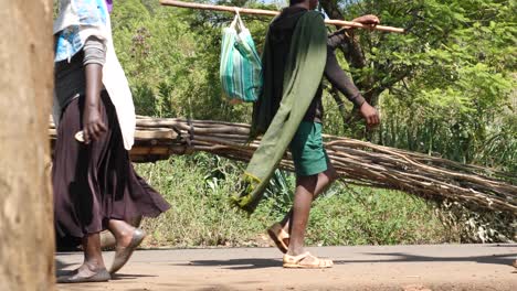 In-Afrika-Werden-Immer-Noch-Pferde-Und-Esel-Verwendet,-Um-Holz-Und-Andere-Dinge-Zu-Transportieren.