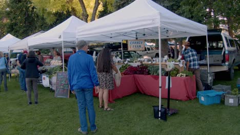 Bauernmarkt-In-Bozeman,-Montana