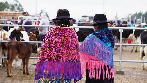 Ranch-event-with-many-animals-and-couple-of-women-wearing-colorful-dresses