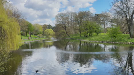 Eine-Aufnahme-Eines-Teichs-Im-Kungsparken,-Malmö,-Mit-Einem-Schwimmenden-Vogel,-Der-Eine-Friedliche-Und-Ruhige-Atmosphäre-Schafft