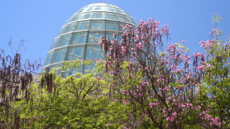 Wunderschöne-Estepona-Orchideenkuppel-Und-Wachsendes-Laub-Im-Vordergrund