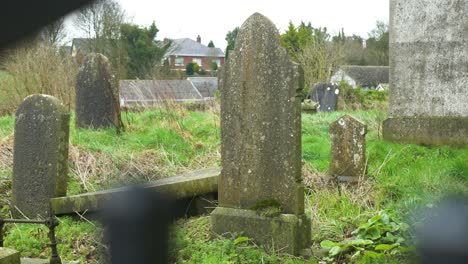 Viejas-Lápidas-Cubiertas-De-Maleza-En-Un-Cementerio-Abandonado-En-Irlanda