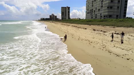 Luftaufnahme-Eines-Paares,-Das-Mit-Dem-Hund-Am-Strand-Spazieren-Geht,-Während-Es-Im-Hintergrund-Mit-Dem-Handy-Die-Gebäude-Der-Wohnanlage-Telefoniert