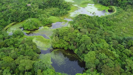 Aerial-view-of-the-wetlands-of-the-environmental-NGO-Associação-Reserva-Ecológica-de-Guapiaçu---REGUA-,-in-Rio-de-Janeiro,-Brazil