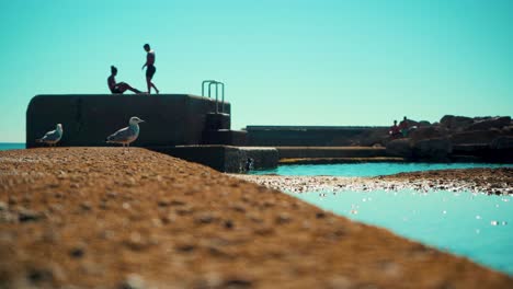 Salzwasserschwimmbecken-An-Der-Küste-Mit-Möwen,-Teenager-Auf-Felspier,-Schwimmen-Im-Wasser-Bei-Sonnenschein-4k