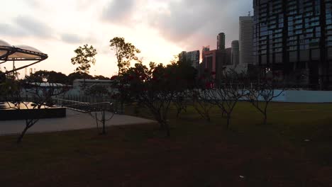 Red-flowers-blloming-in-the-dark-during-sunset