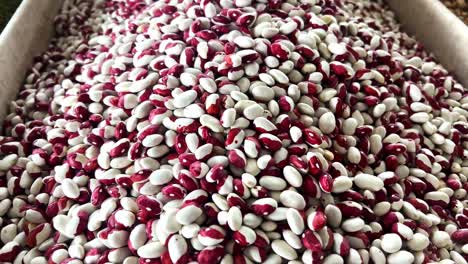 Super-slow-motion-macro-of-pile-dry-quality-legumes-mix-explosion-with-flying-grains