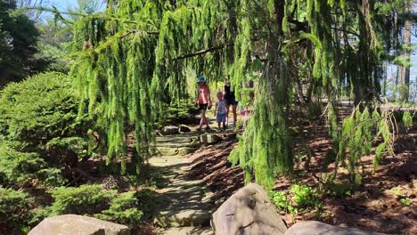 Familie-Spaziert-An-Einem-Sonnigen-Tag-Im-Park