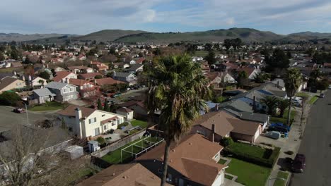 Aerial-Panorama-Around-Palm-Tree-In-Local-Town-In-Napa-Valley,-California