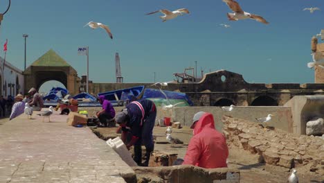 Fischer-Bereiten-Fische-Im-Hafen-Von-Essaouira,-Marokko-Vor