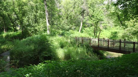 Eine-Langsame-Schwenk-Für-Meinen-Kleinen-Bach-In-Einem-Kleinen-Talwald-Hinüber-Zu-Einer-Holzbrücke,-Die-Den-Bach-überquert,-Mit-Einer-Langsamen-Rückwärtsfahrt,-Die-Die-Vegetation-Enthüllt