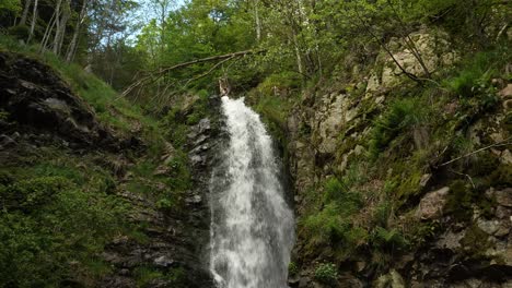 View-of-Todtnau-Waterfall-with-Fallen-Tree-in-Spring