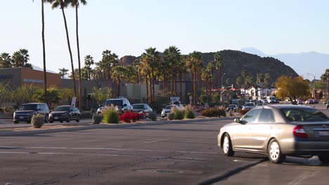 Nature-strip-shrubs-on-palm-lined-avenue,-California-resort-town-street-planting