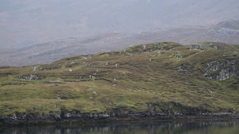 Herrliche-Aussicht-Auf-Schottisches-Ackerland-Im-Hochland-Von-Einem-See-Aus