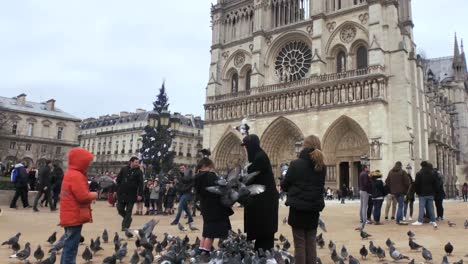 Vogelfütterung-Neben-Der-Kathedrale-Notre-Dame-In-Paris,-4K-Kino