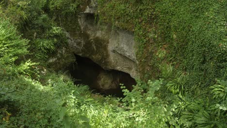 Close-shot-of-old-stone-drain-hollow-with-brown-water-in-mid-green-wild-grass