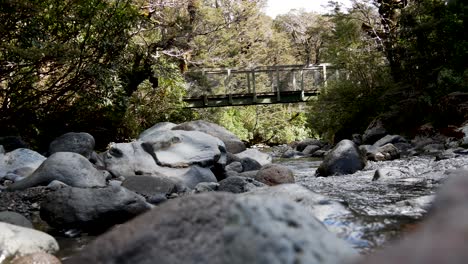 Eine-Frau-überquert-Eine-Brücke-Während-Einer-Wanderung-In-Einem-Wald-In-Neuseeland