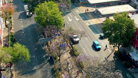 Static-drone-shot-with-a-group-of-pilgrims-and-garbage-trucks-going-to-the-guadalupe-basilica-in-CDMX,-Mexico,-sunny-day