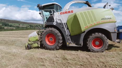 Cosechadora-Forrajera-Autopropulsada-Claas-Cortando-Hileras-De-Hierba-Cortada-Y-Soplándola-En-Un-Remolque-Al-Lado